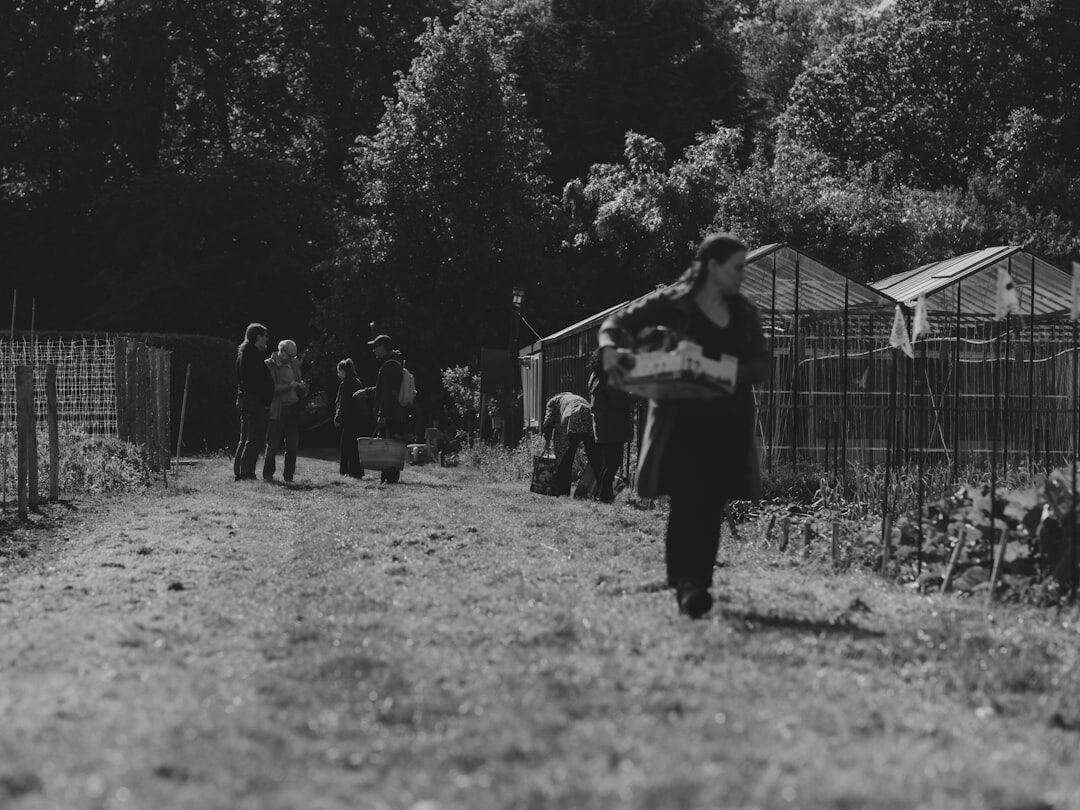 Elderly woman and man gardening together in a community garden