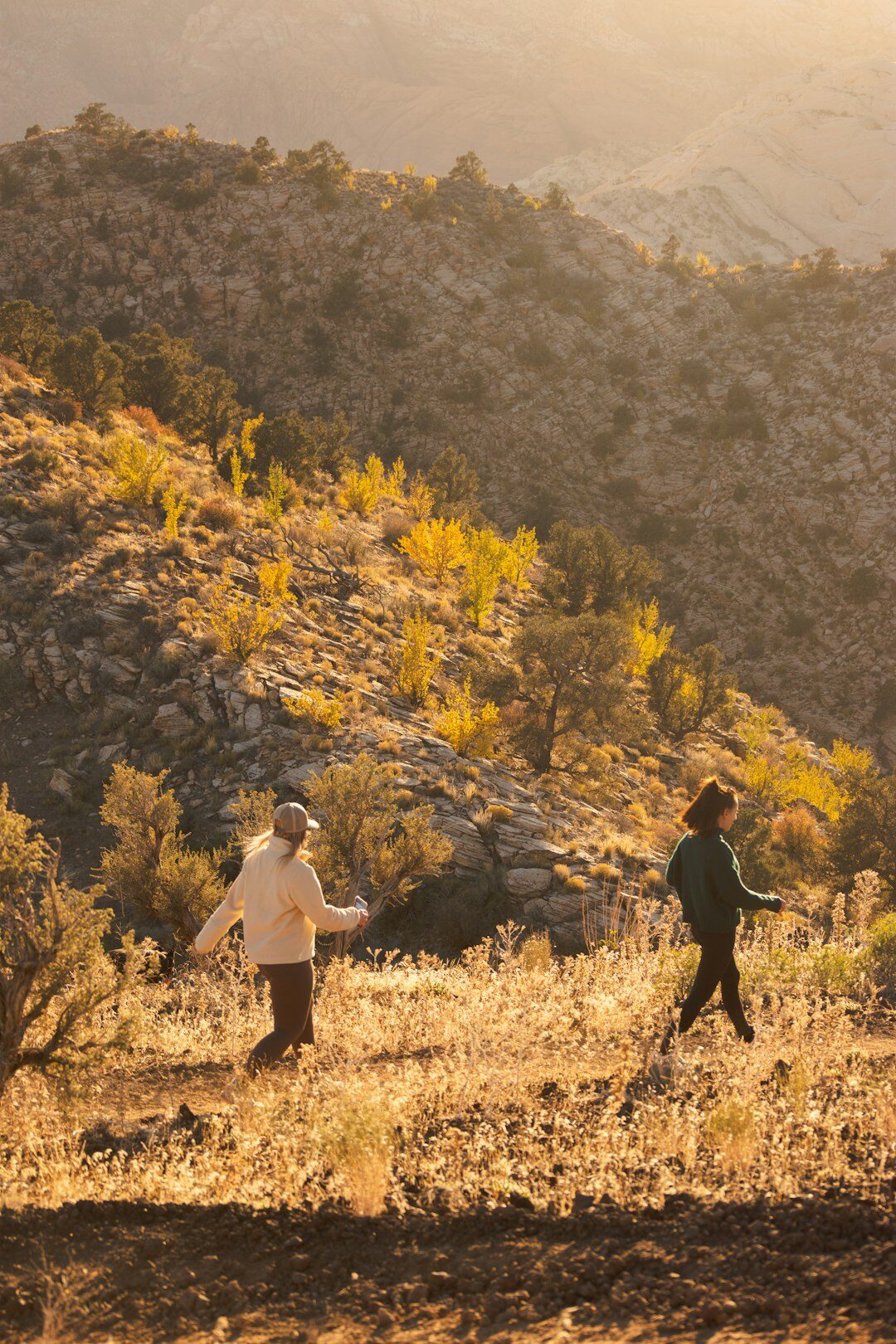 senior couple walking in nature