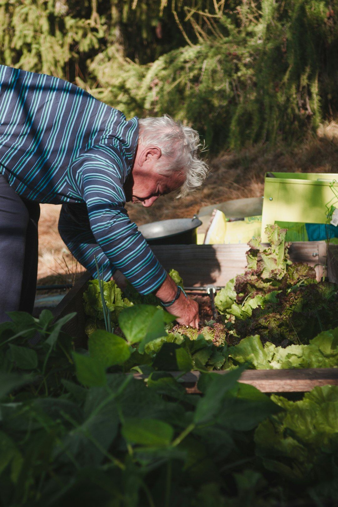 elderly people in garden