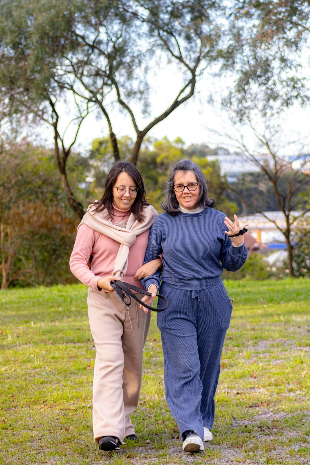 seniors doing gentle exercise