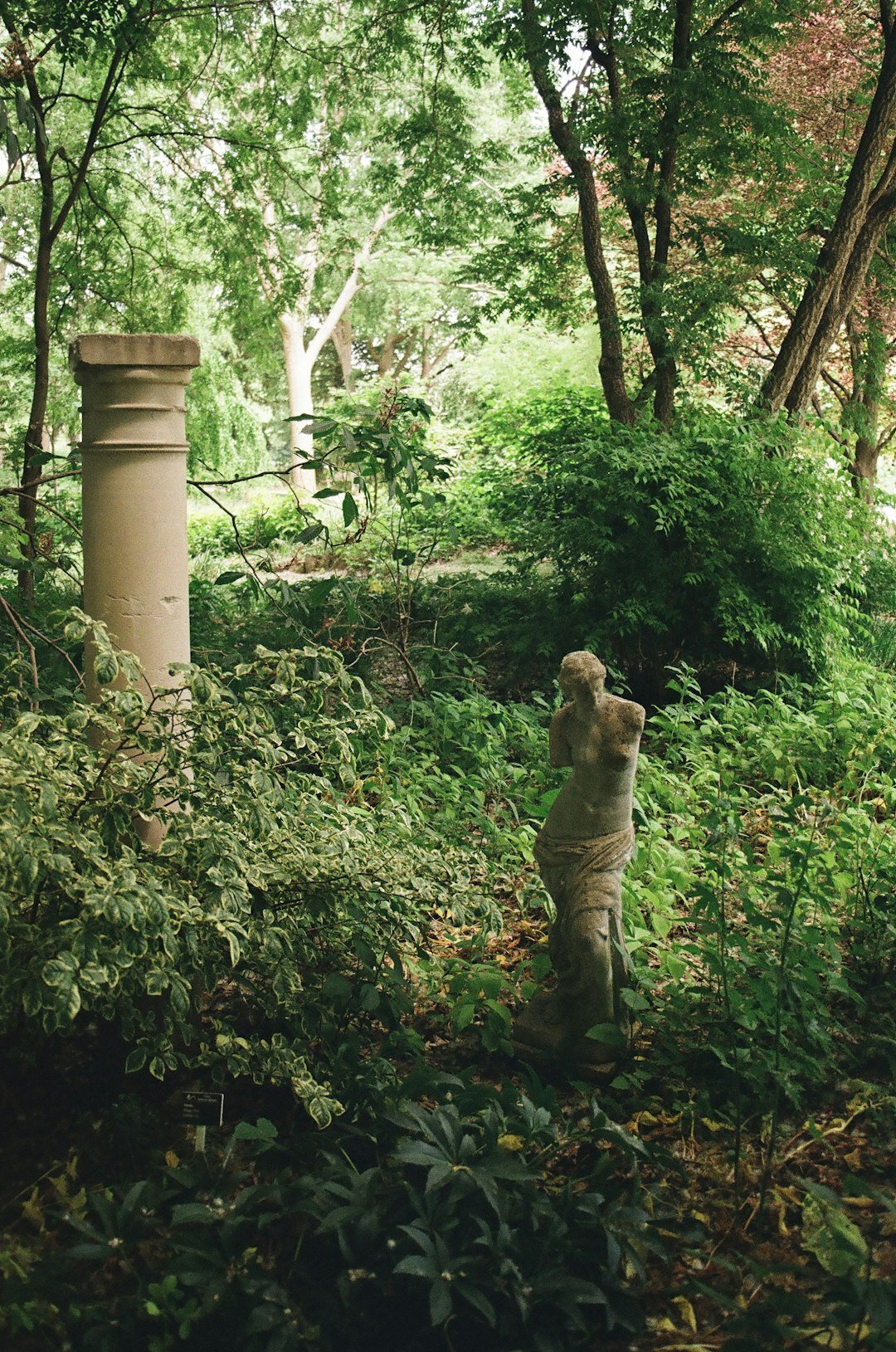 senior couple walking in peaceful garden